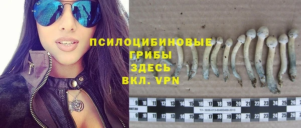 COCAINE Богородск