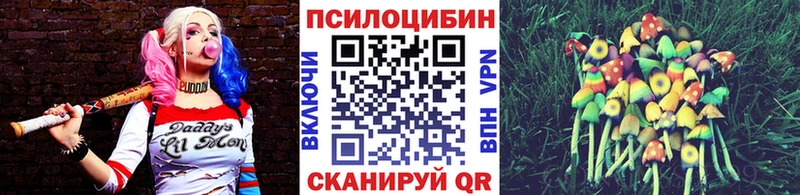Галлюциногенные грибы Psilocybine cubensis  Купить  Данилов 